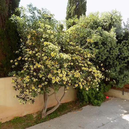 Konukevi Kyriakos Court *